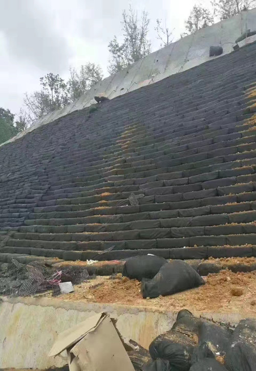 生態(tài)袋規(guī)格與應(yīng)用原理