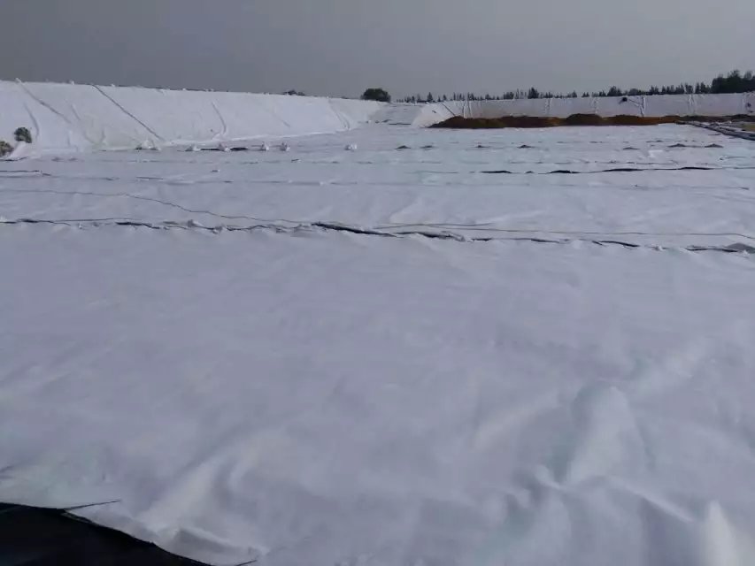河道防滲之復合土工膜